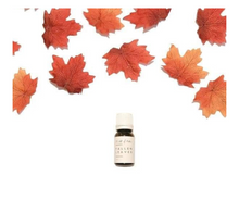 Load image into Gallery viewer, Wild Flicker Diffuser Oils